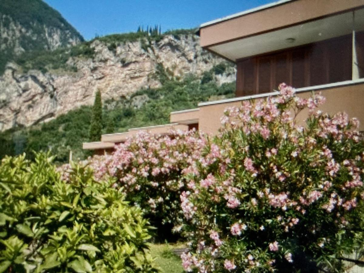 ריבה דל גארדה Appartamento Peppino Mit Seeblick Und Pool מראה חיצוני תמונה